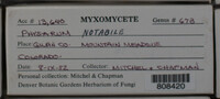 Image Associated With the Occurence